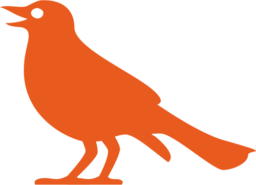 Bird-oranje-links-1