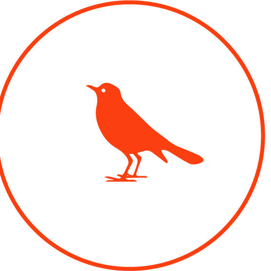 Kwaliteitskring Vogel Connect logopedie